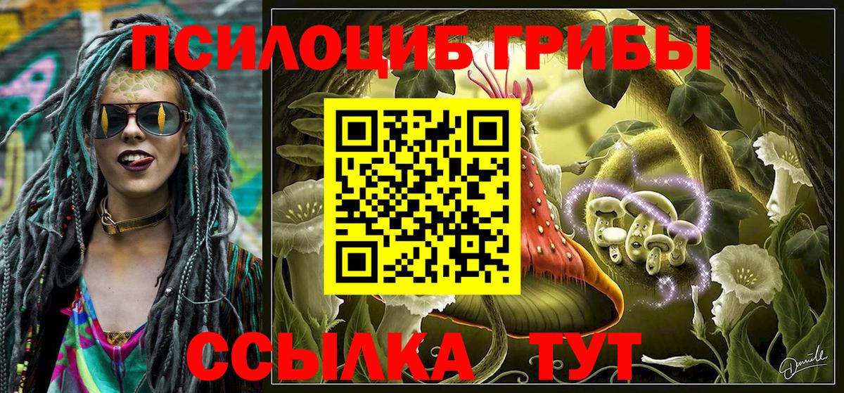 Галлюциногенные грибы MAGIC MUSHROOMS  Вход с VPN  Псилоцибиновые грибы GOLDEN TEACHER  как найти закладки  Хабаровск 