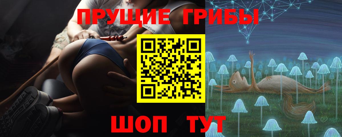Галлюциногенные грибы Psilocybine cubensis Хабаровск
